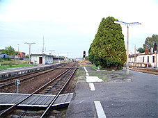 min 381 7.jpg min 381 7.jpg